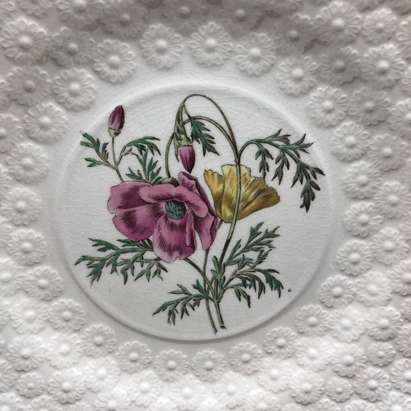 4 Spode Copeland Plates 9.25” Provincial Flowers Heath Campanula Petunia etc EXC - Picture 7 of 10